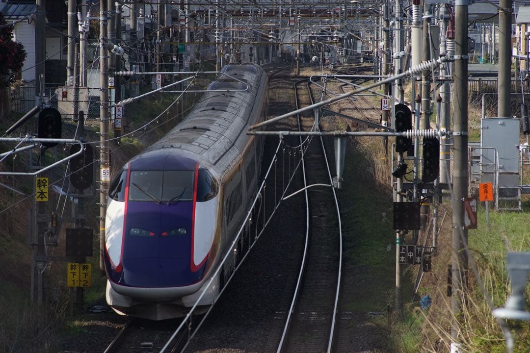 作例付き　TAMRON SP AF 300mm F/2.8 管mpr