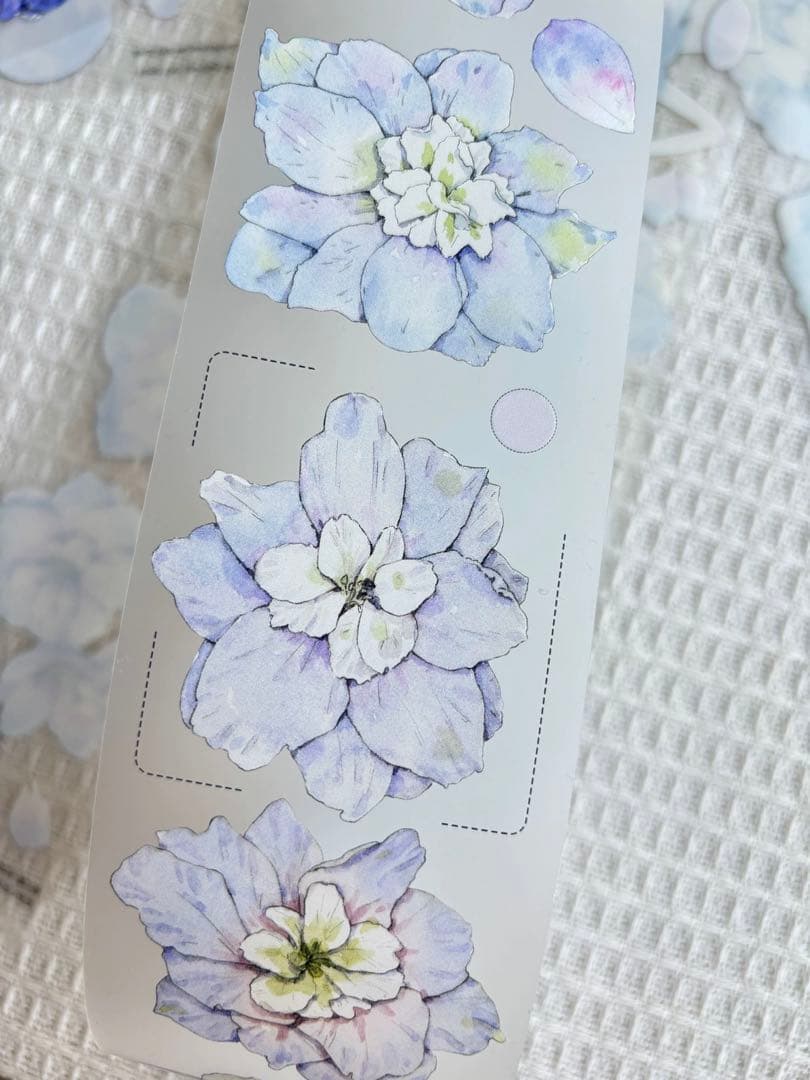 ⭐️SALE⭐️KAIXUN《大花飞燕草》海外マスキングテープ　マステ 【1795】