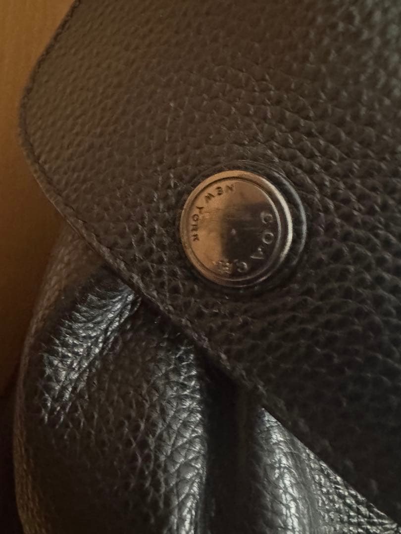 【美品】コーチ　リュック　ハドソン　オールレザー　大容量　F36811 ブラック