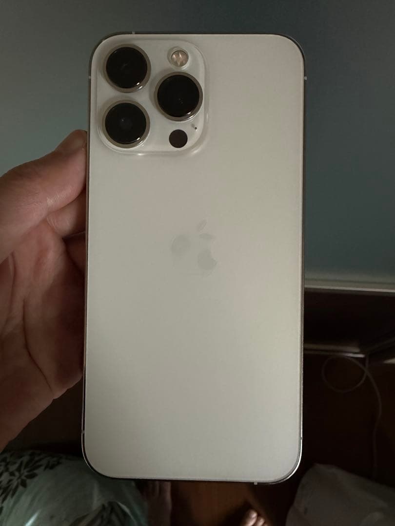 iPhone13pro 256GB シルバー